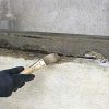 RESIPRO PLUS by Tecno Prodist - Résine de liaison à base d'eau, haute adhérence entre le béton, le mortier et le plâtre anciens et nouveaux.