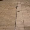 MASITEC FLEX W by Tecno Prodist - Expansion joints and cracks - Polyurethane sealant - Elastomeric adhesive filler