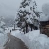 TECNOSAL DESHIELO di Tecno Prodist - Sale per sciogliere ghiaccio e neve, strade, parcheggi, autostrade, doppio uso, sale per lavastoviglie