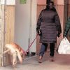 TECNOSTOP REPELKAN de Tecno Prodist - Répulsif contre les nuisibles. Empêche les chiens et les chats d'uriner sur les façades et les trottoirs.