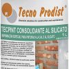 TECPINT SILICATE CONSOLIDANT da Tecno Prodist - Agente de fixação para pedra, tijolo, cal ou primário de tintas de silicato