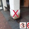 Tecnosolution Antipipi de Tecno Prodist - Hydrofuge spécial pour l'urine humaine et animale sur les façades et les sols.