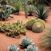 DECORATIVE ROCK GRAVA by Tecno Prodist - Pedra decorativa para jardim e decoração de interiores vasos, potes e floreiras