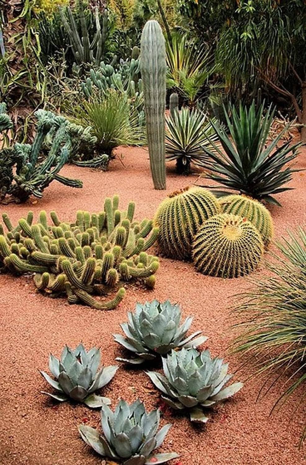 DECORATIVE ROCK GRAVA by Tecno Prodist - Pedra decorativa para jardim e decoração de interiores vasos, potes e floreiras