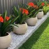 DECORATIVE ROCK GRAVA by Tecno Prodist - Pedra decorativa para jardim e decoração de interiores vasos, potes e floreiras