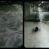 TECNO ABSORBENTE MINERAL PLUS by Tecno Prodist - Spill Control, Absorbs oil, water, hydrocarbons, solvents, flame retardant.