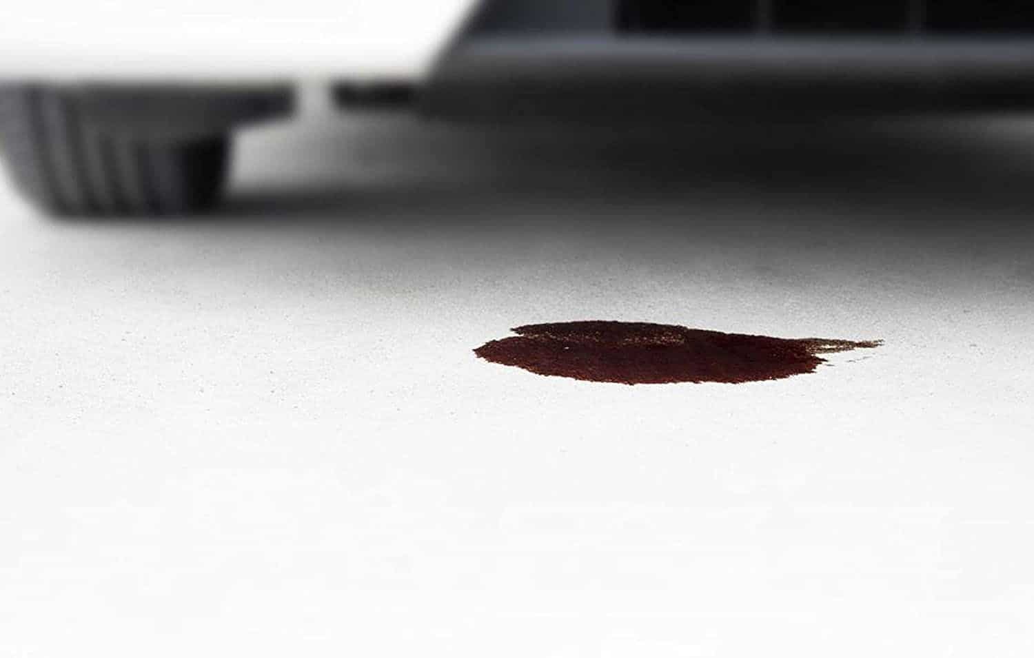 TECNO ABSORBENTE MINERAL PLUS by Tecno Prodist - Spill Control, Absorbs oil, water, hydrocarbons, solvents, flame retardant.