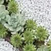 SASSO DECORATIVO di Tecno Prodist - Sasso decorativo da giardino, per vasi e contenitori da esterno e interno