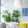 TECPINT TERMIC ECOLOGIC by Tecno Prodist - Ecological paint, thermal and acoustic insulation, interior - exterior, breathable.