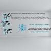TECPINT AIRDEPUR ECO-TERMIC - Thumbnail Image 6