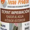 TECPINT IMPRIMACIÓN de Tecno Prodist - Fijador al Agua sellante - Incolora - Pintar paredes Exterior e Interior - Alto anclaje