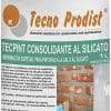 TECPINT CONSOLIDANTE AL SILICATO de Tecno Prodist - Fijador piedra, ladrillo, imprimación pinturas a la cal o al silicato